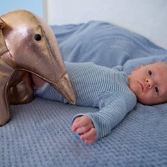 IMG 573
